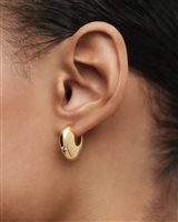 Orecchini PDPaola Donna in Argento AR01-F60-U - AR01-F60-U